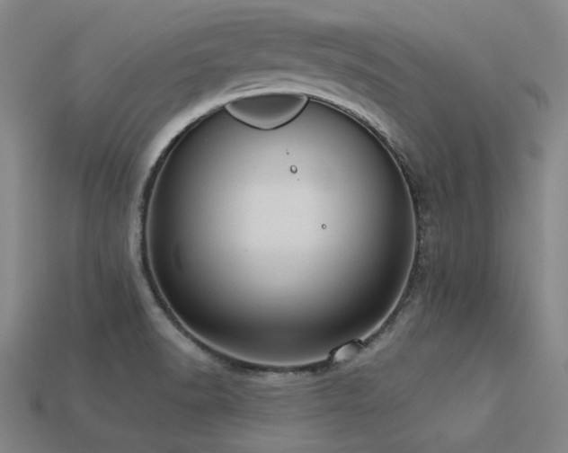 X0000113281518200909141214