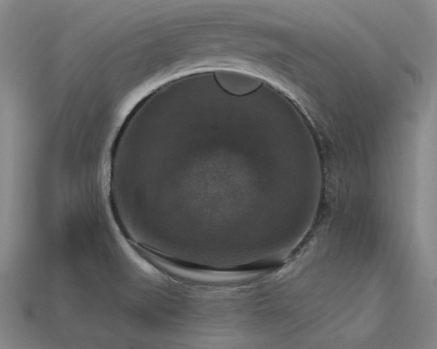 X0000113281519200909141214