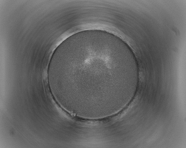 X0000113281521200909141214