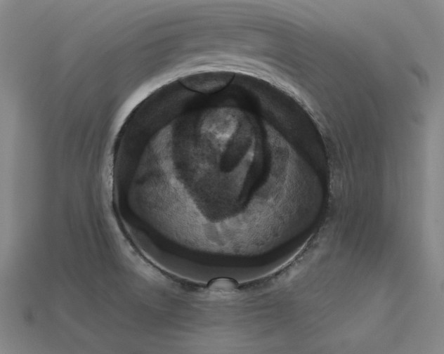 X0000113281522200909141214