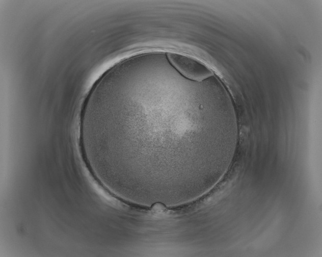 X0000113281523200909141214