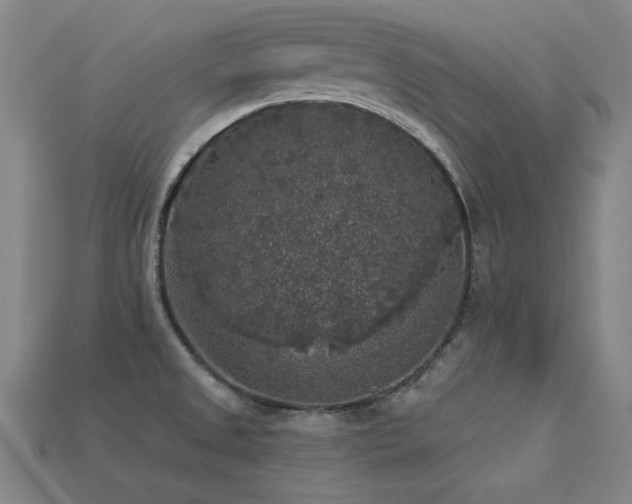 X0000113281525200909141214