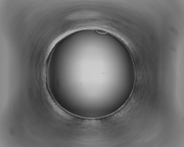 X0000113281526200909141214