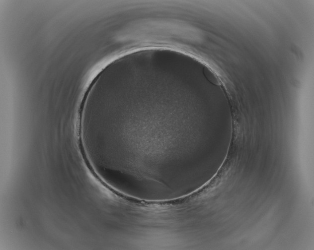 X0000113281527200909141214