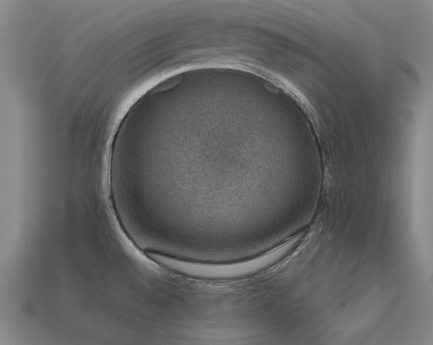 X0000113281528200909141214