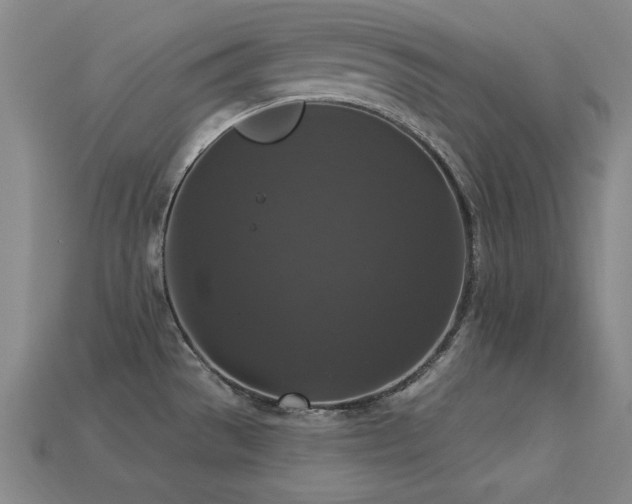 X0000113281529200909141214