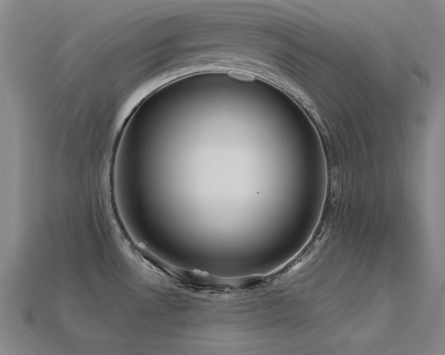 X0000113281530200909141215