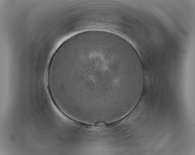 X0000113281531200909141215