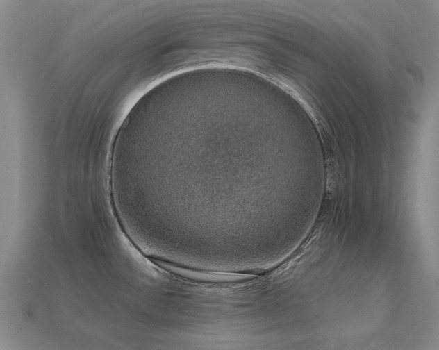 X0000113281532200909141215