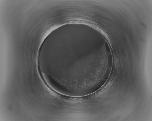 X0000113281533200909141215