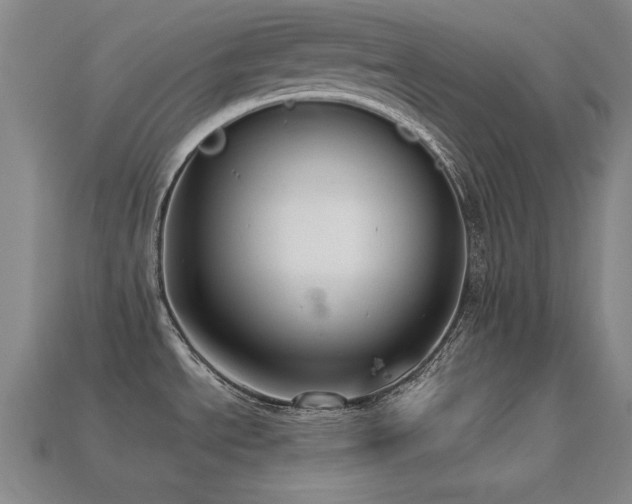 X0000113281534200909141215