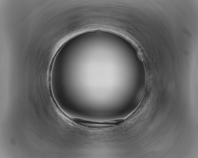 X0000113281535200909141215