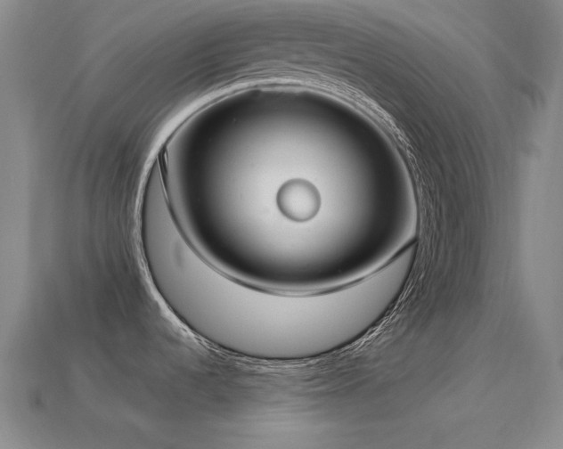 X0000113281536200909141215