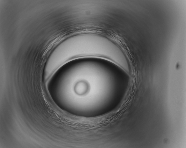 X0000113280001200909211051