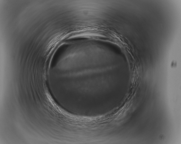 X0000113280002200909211051