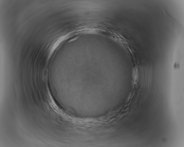 X0000113280003200909211050