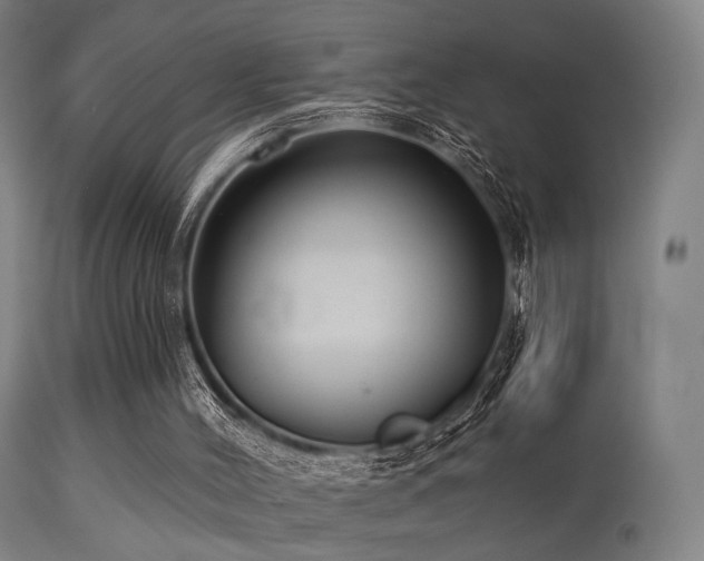 X0000113280004200909211050