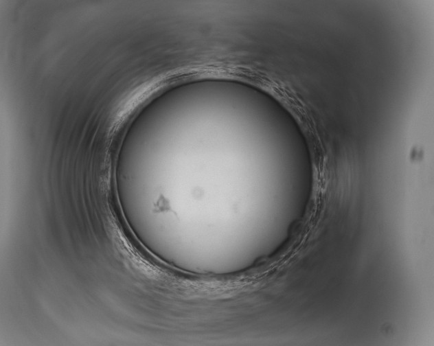 X0000113280005200909211050