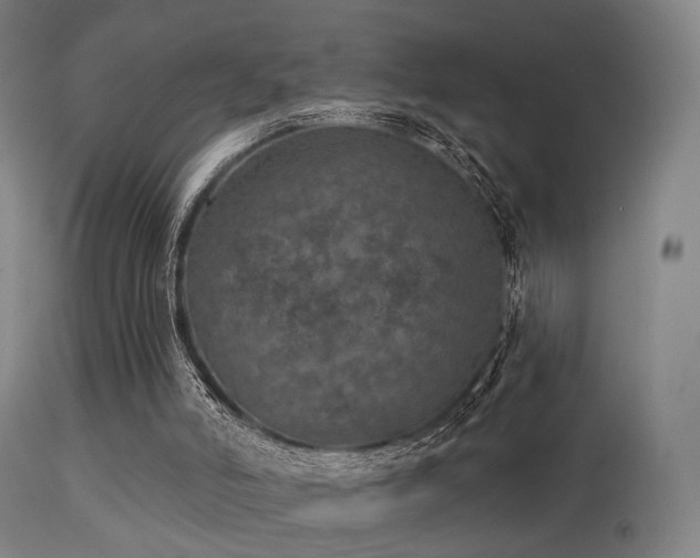 X0000113280006200909211050