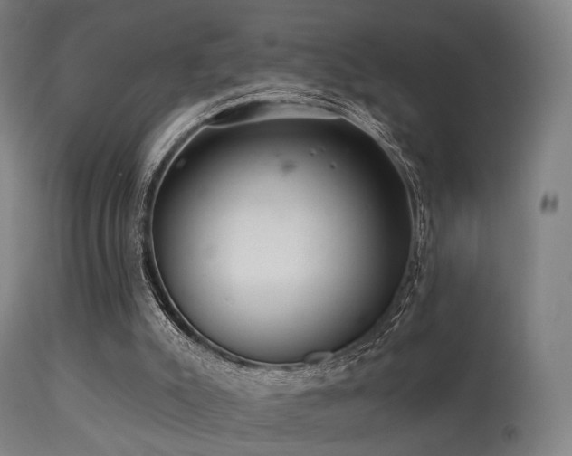 X0000113280007200909211050