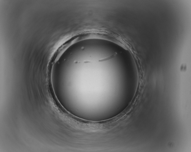 X0000113280008200909211050