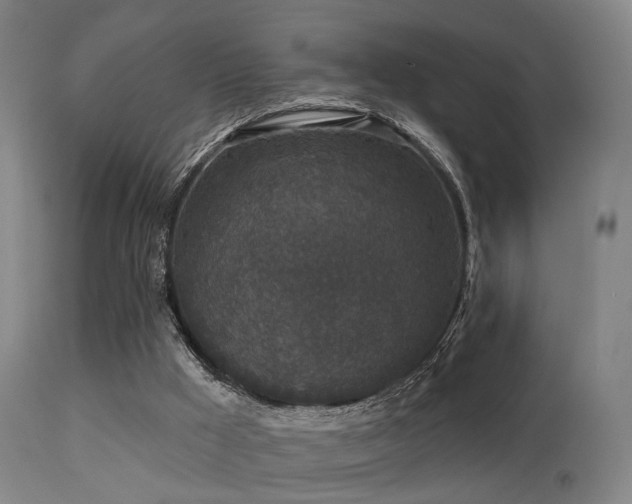 X0000113280009200909211050