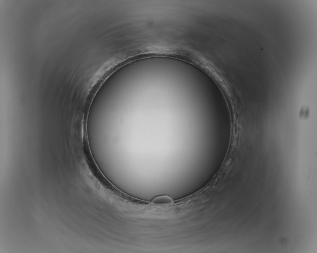 X0000113280011200909211050