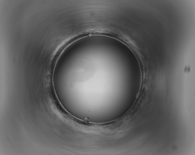 X0000113280012200909211050