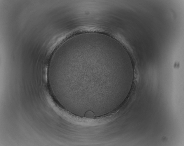 X0000113280014200909211050