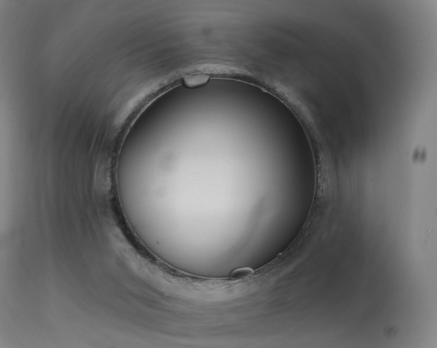 X0000113280015200909211050