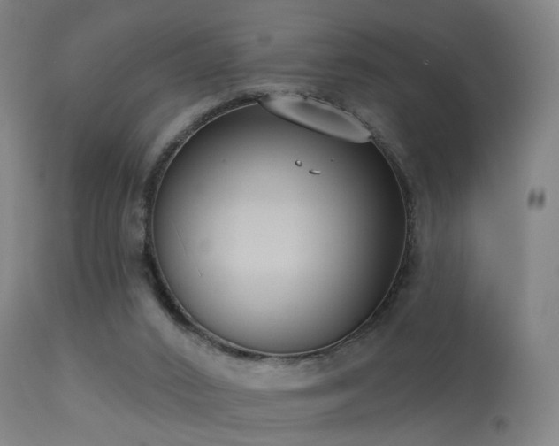 X0000113280016200909211050