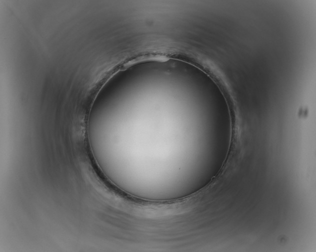 X0000113280017200909211050