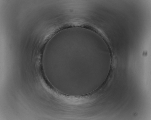 X0000113280018200909211050