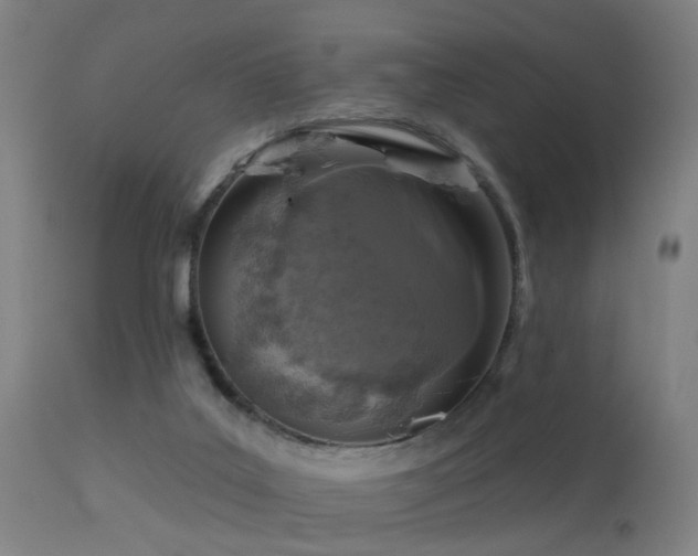 X0000113280019200909211050