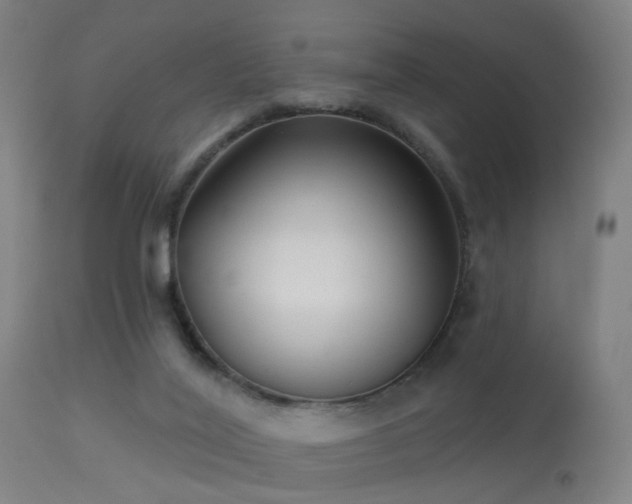 X0000113280020200909211050