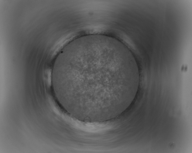 X0000113280022200909211050