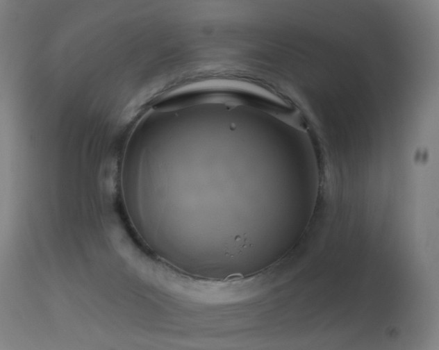 X0000113280023200909211050