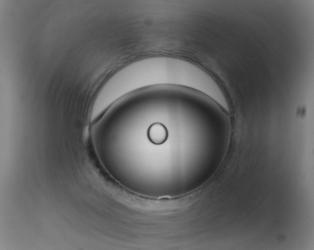 X0000113280027200909211050