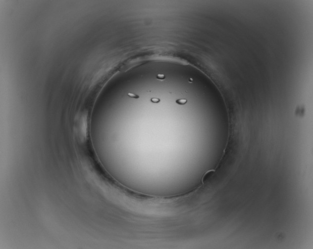 X0000113280028200909211050