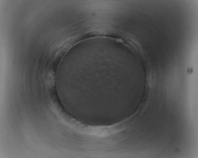 X0000113280029200909211050