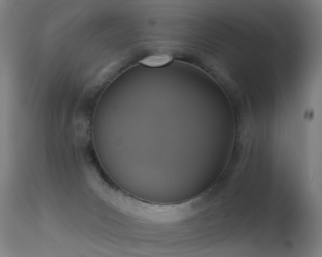 X0000113280031200909211050