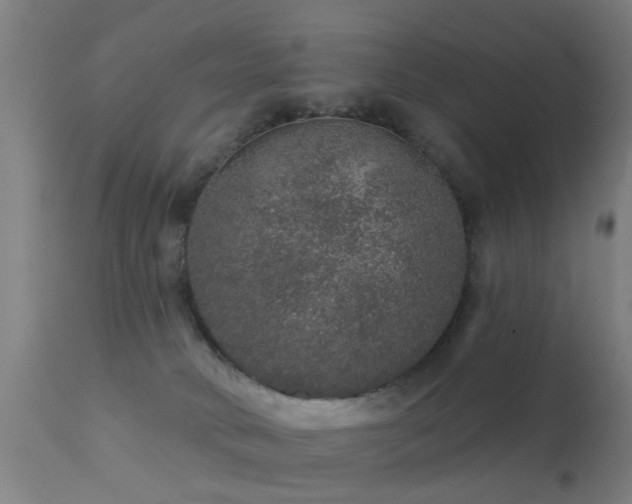 X0000113280034200909211050