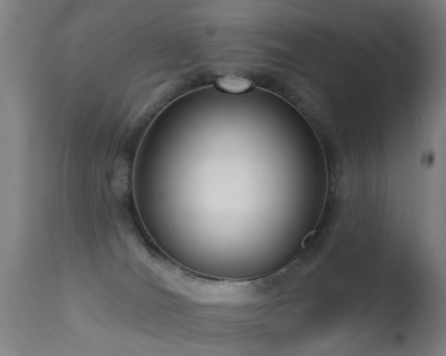 X0000113280036200909211050