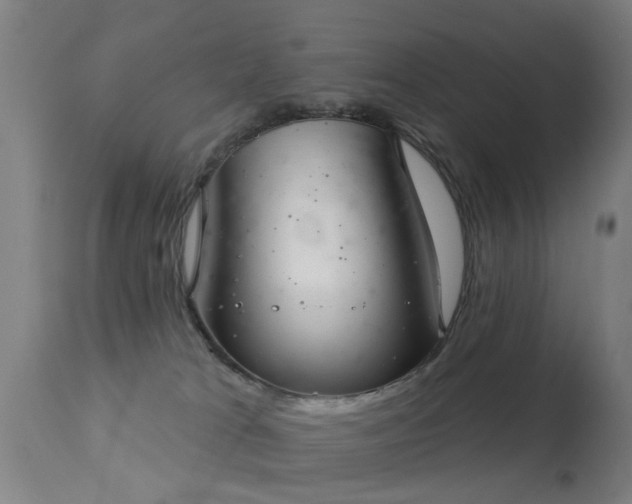 X0000113280037200909211050