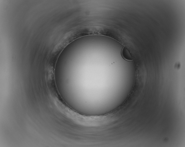 X0000113280038200909211050