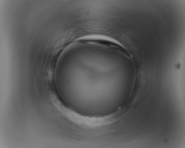 X0000113280039200909211050