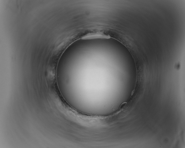 X0000113280040200909211050