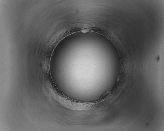 X0000113280044200909211050