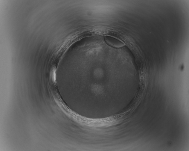 X0000113280046200909211050