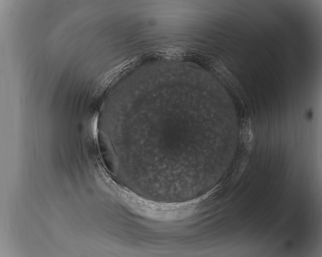 X0000113280047200909211050